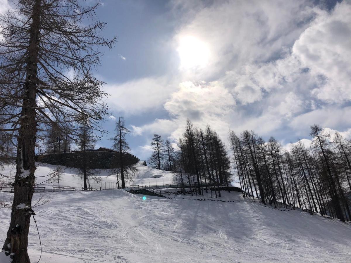Il Piccolo Rifugio - Casa Valtournencheアパートメント エクステリア 写真
