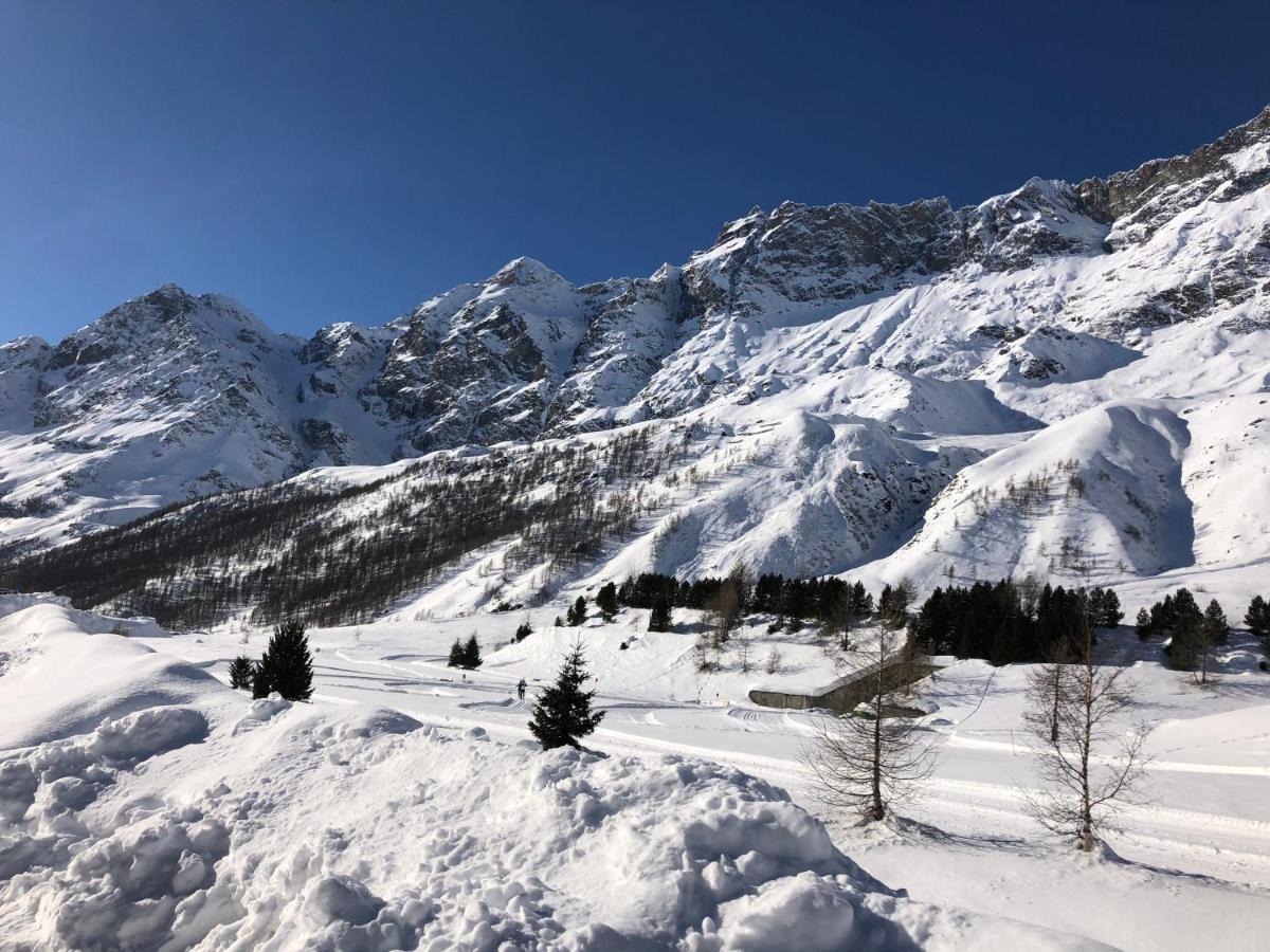 Il Piccolo Rifugio - Casa Valtournencheアパートメント エクステリア 写真